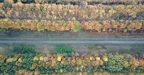 Flight over the forest. Railway Stock Footage 81420370