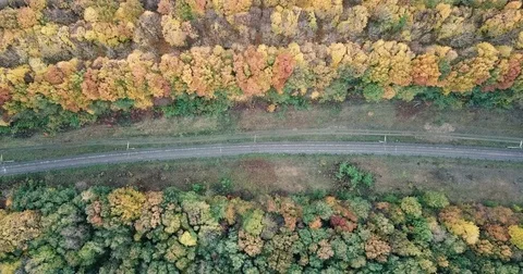 Flight over the forest. Railway Stock Footage 81420397