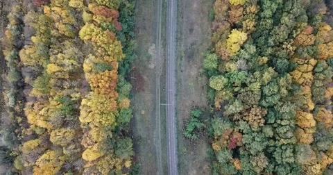 Flight over the forest. Railway Stock Footage 81420446