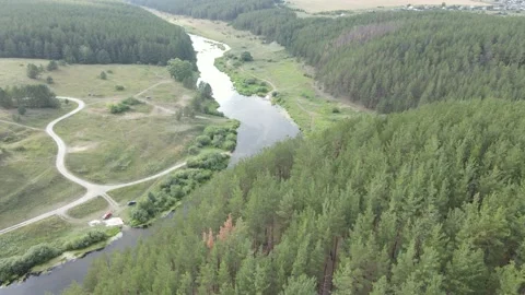 Flight over the forest, river and field Stock Footage 161411827
