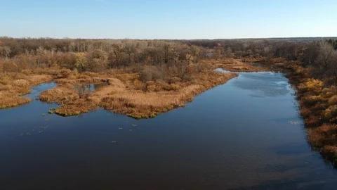 Flight over the forest river Stockbeeldmateriaal 123337743