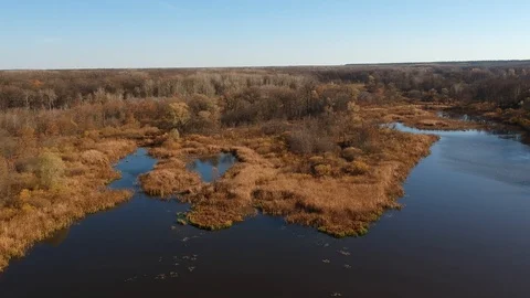 Flight over the forest river Stock Footage 123337852