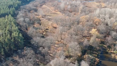 Flight over the forest river Stock Footage 123337936