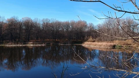 Flight over the forest river Stock Footage 123338092