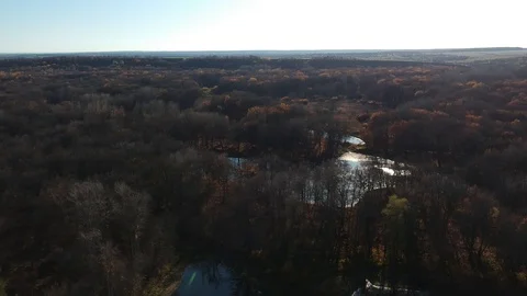 Flight over the forest river Stock Footage 123338184
