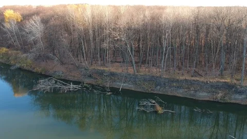 Flight over the forest river Stock Footage 123338769