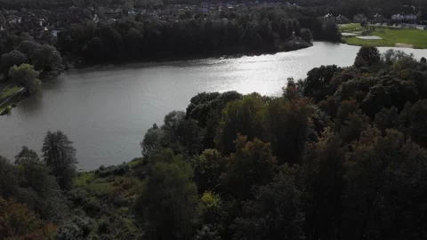 Flight over the forest with the river Video stock 306149005