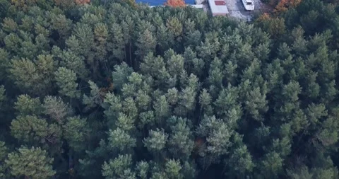 Flight over the forest, to a site on the lake with a lawn and a yacht standing Vídeos de archivo 142228337