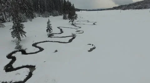 Flight Over a Forest Stream in the Snow Stock Footage 61461864