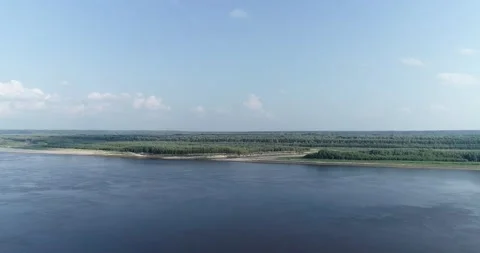 Flight over the forest in summer on a sunny day Video stock 221350897
