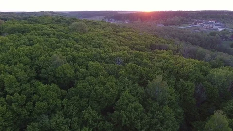 Flight over the forest at sunset. Aerial Drone Footage Stock Footage 75662861