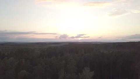Flight over forest at sunset. AERIAL video Stock Footage 140816953