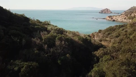 Flight over a forest towards a rocky bay with a remote island Stock Footage 101899840
