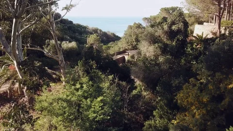 Flight over a forest towards a rocky bay with a remote island Video stock 101899892