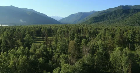 Flight over the  Forest Valley. 4K resolution. Stock Footage 41131165