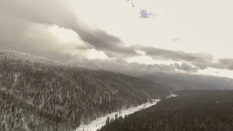 Flight over forest in winter Stock Footage 69774287
