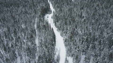 Flight over the forest winter road. No cars Stock Footage 226622182