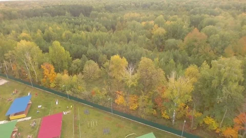 Flight over forest.Autumn.Helicopter Stock Footage 101573440