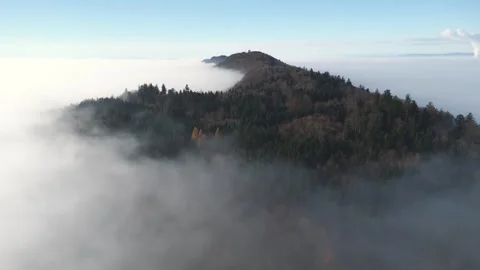 Flight over a forested mountain rising out of a sea of fog. Video stock 320934126