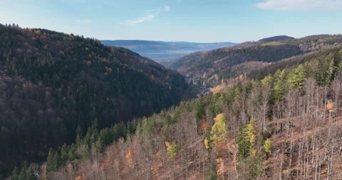 Flight over forested valley revealing Międzygórze village in autumn Видео 346607783
