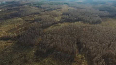 Flight over forests and field Stock Footage 82054644
