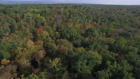Flight Over Forrest. Nature Landscape. Aerial Footage. Stock Footage 141503546