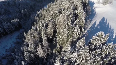 Flight over a Forrest in Winter - Aerial Flight Stock Footage 46002211