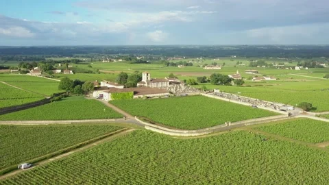 Flight over French Vineyard in Sumer Stock Footage 229734999