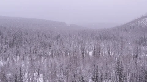 Flight over frozen forest Stock-Footage 123766602