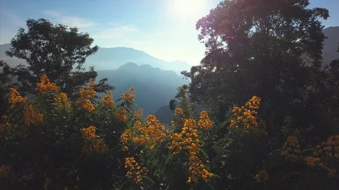 Flight over the garden with mountains Stock Footage 108053375