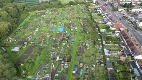 Flight over the gardens Stock Footage 253809038