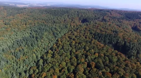 Flight over germany - autumn forest Stock Footage 56205049
