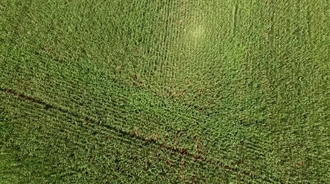 Flight over germany - landscape Stock Footage 53079543