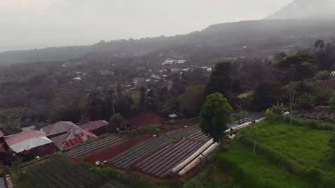 Flight over the gorges in the mountains of Bali. Stock Footage 146115044