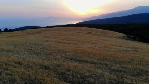 Flight over Grain Fields at Trikiri during sunset Stock Footage 95168510