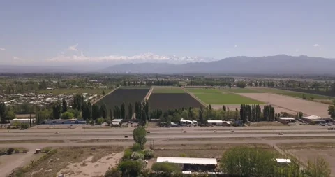 Flight over the Grapes: A Quick Drone Take of the Vineyard Stock Footage 274364319