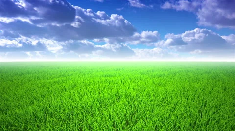 Flight over grass, cloudscape Stock Footage 60222117