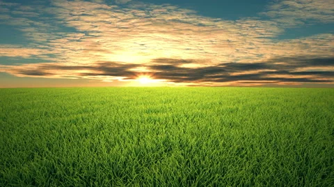 Flight over grass, sunset, cloudscape Stock Footage 60224109