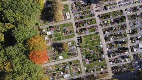 Flight over a graveyard in autumn 스톡 동영상 219260431
