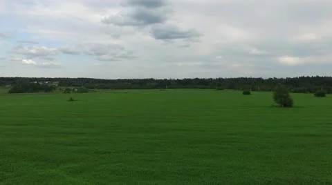Flight over the green field Stock Footage 69067537