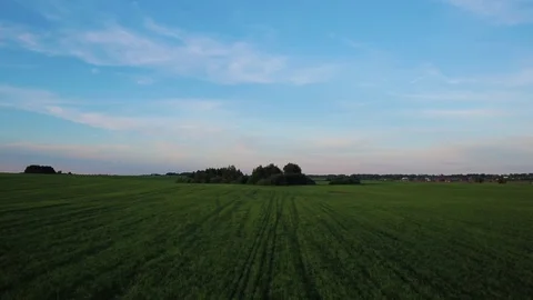 Flight over green field in summer day Stock Footage 72646588