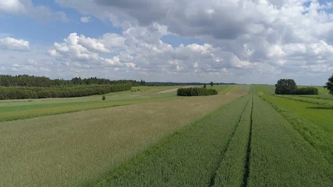Flight over green fields , aerial view Stock Footage 120400463