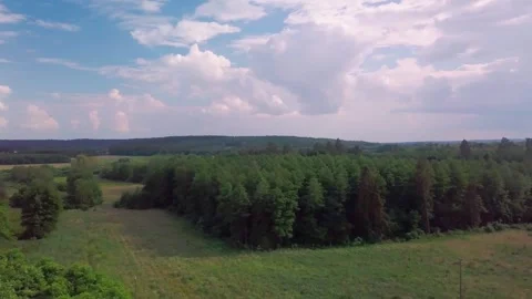 Flight over green forest and meadows. 4k aerial. Stock Footage 278414256