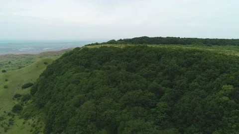 Flight over a green forest glade hill with trees in the evening Video stock 153348447