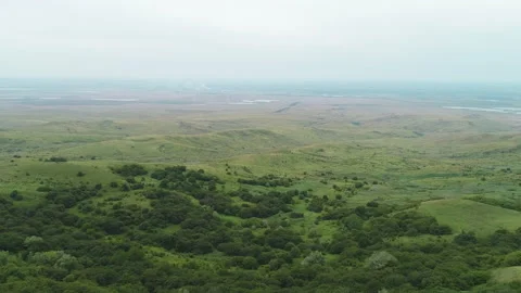 Flight over a green forest glade in the evening Video stock 153445845