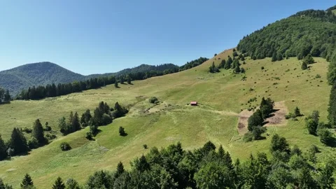 Flight Over The Green Forest, to a Small Cabin In The Middle of The Hills. Stock Footage 280985468
