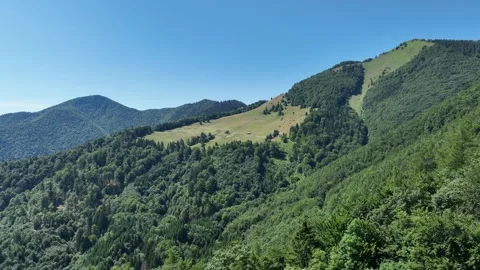 Flight Over The Green Forest, to a Small Cabin In The Middle of The Hills. Stock Footage 280986042