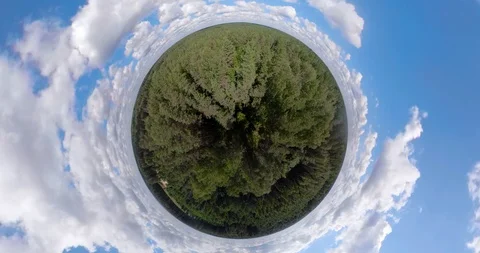 Flight over the green forest spherical panorama Stock Footage 98790359