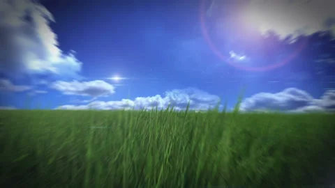 Flight over green grass Stockbeeldmateriaal 90820699