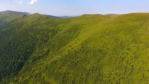 Flight over a green grassy mountain ridge. Aerial view Stock Footage 79984129